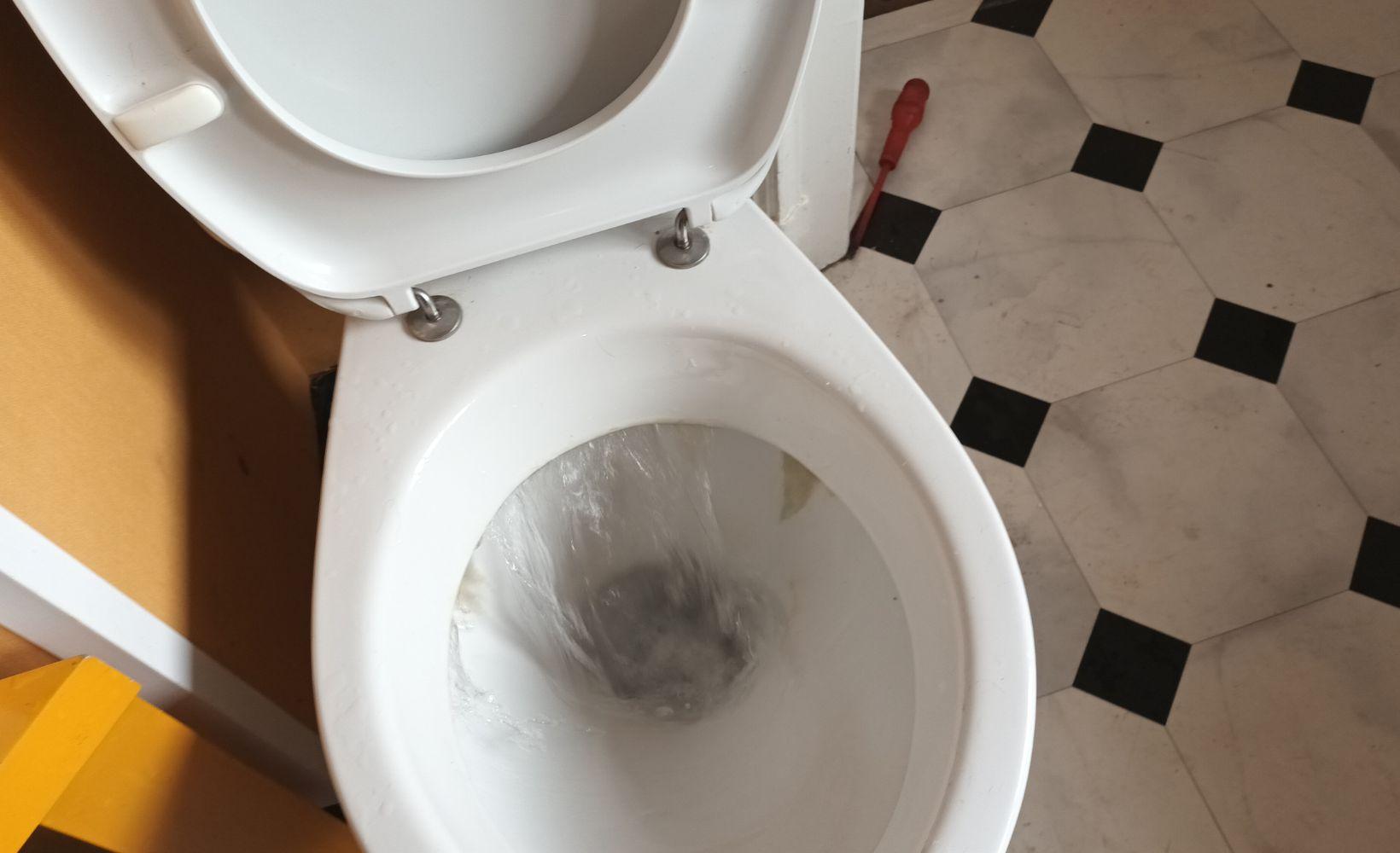 Plombier vdk pour le debouchage toilette a renaix 4